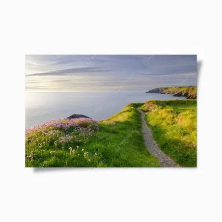 Póster sendero costero en Ceibwr Bay al atardecer – Pixers®
