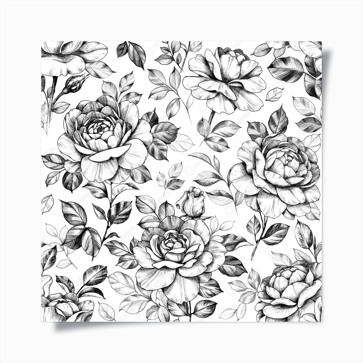 Póster motivo de rosas vintage en blanco y negro – Pixers®