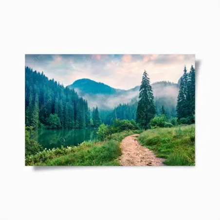 Póster amanecer brumoso en Lacu Rosu – Pixers®