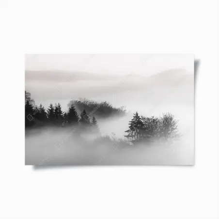 Póster silencio en el bosque entre nieblas – Pixers®