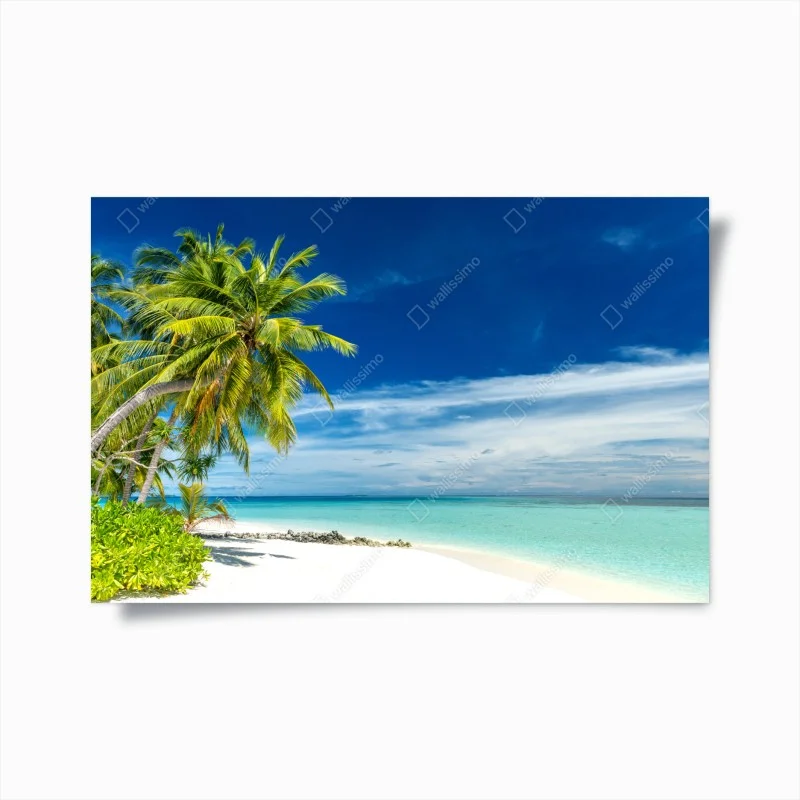 Póster playa tropical de palmeras y mar turquesa