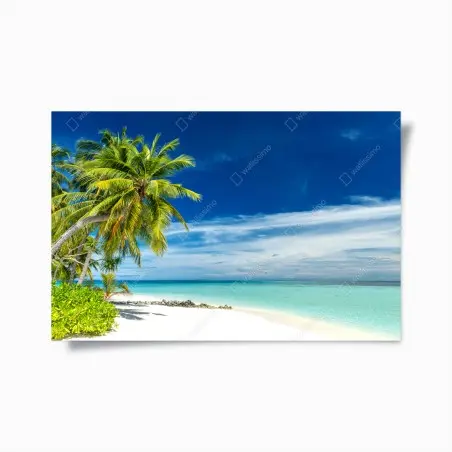 Póster playa tropical de palmeras y mar turquesa – Pixers®