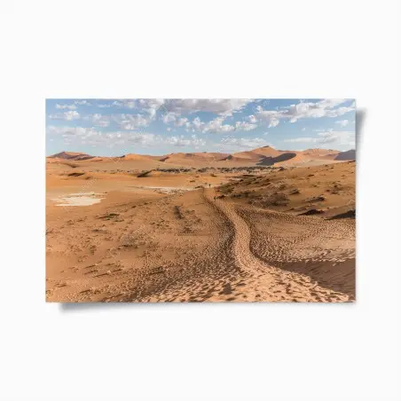 Póster ruta entre dunas bajo cielo azul – Pixers®