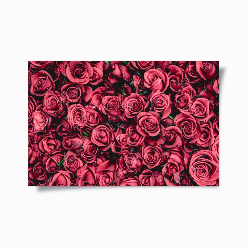 Póster diseño de rosas rojas en detalle