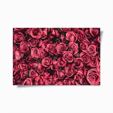 Póster diseño de rosas rojas en detalle – Pixers®