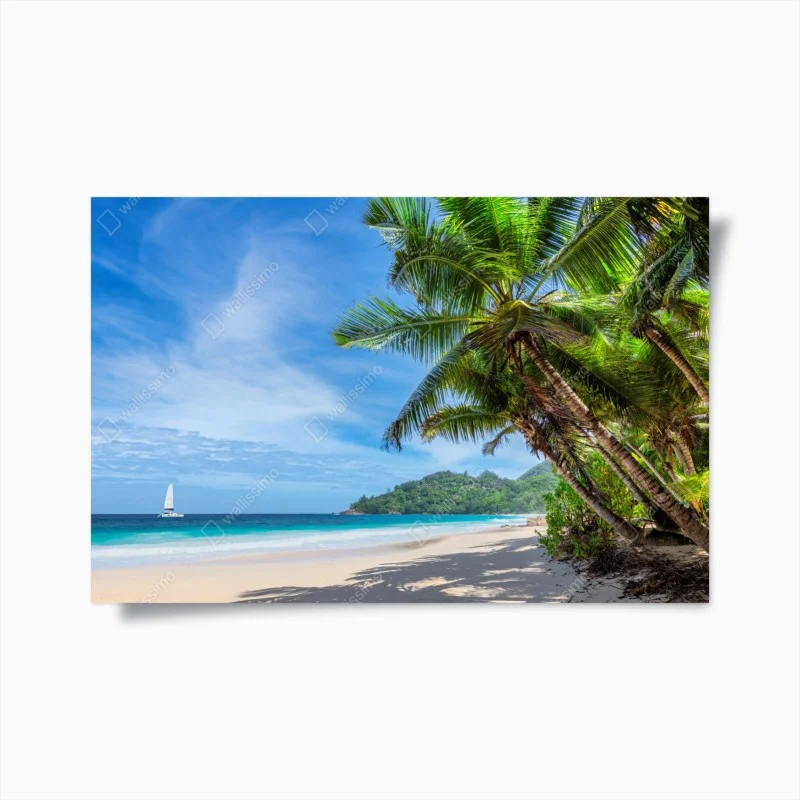 Póster vista tropical de playa con palmeras y velero