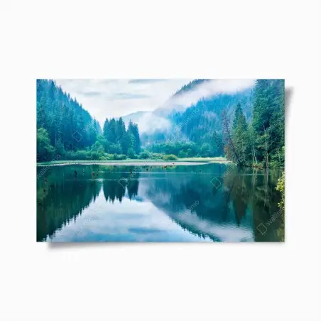 Póster amanecer brumoso en Lacu Rosu – Pixers®