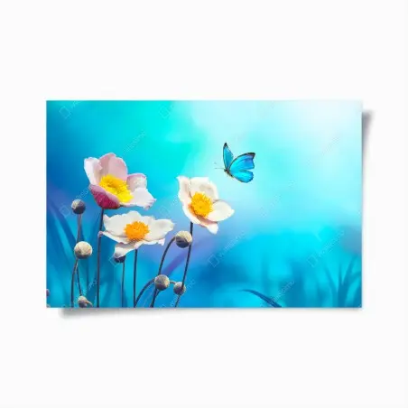 Póster anémonas y mariposa azul sobre fondo turquesa – Pixers®