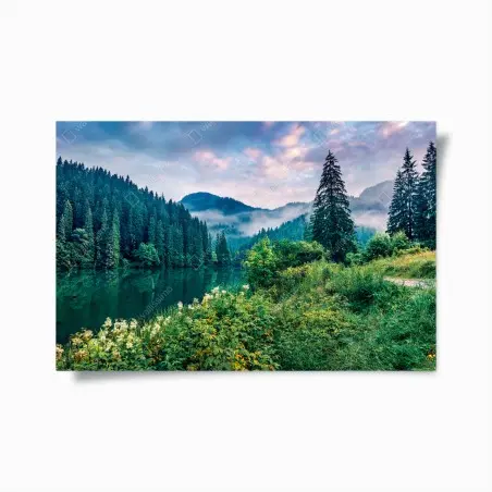 Póster amanecer brumoso en Lacu Roșu – Pixers®