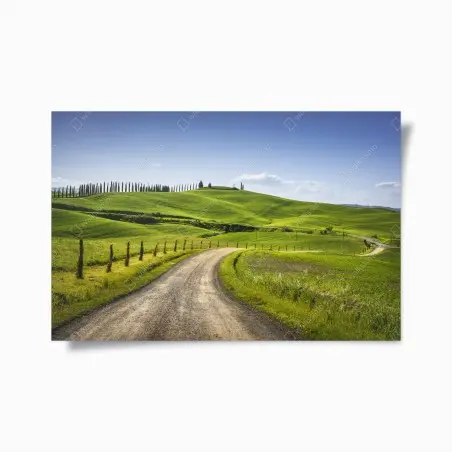 Póster camino rural en Monteroni d'Arbia, Toscana – Pixers®