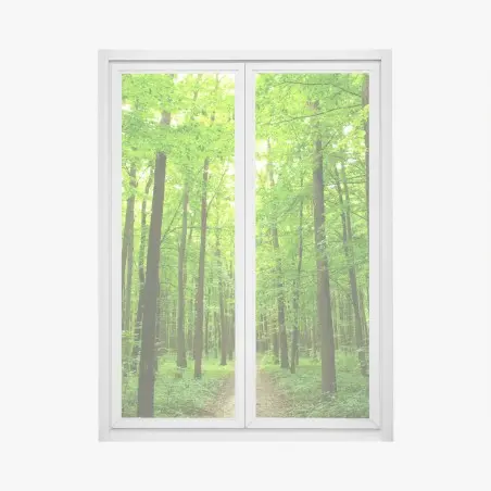 Pegatina para ventana sendero sereno en bosque verde – Pixers®