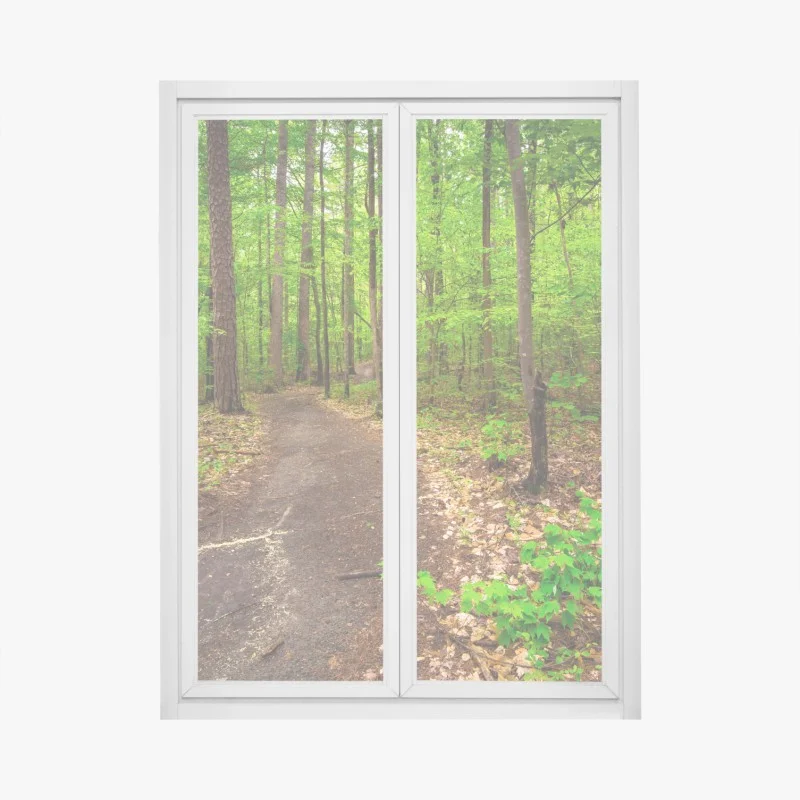 Pegatina para ventana sendero verde en el bosque