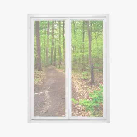 Pegatina para ventana sendero verde en el bosque – Pixers®