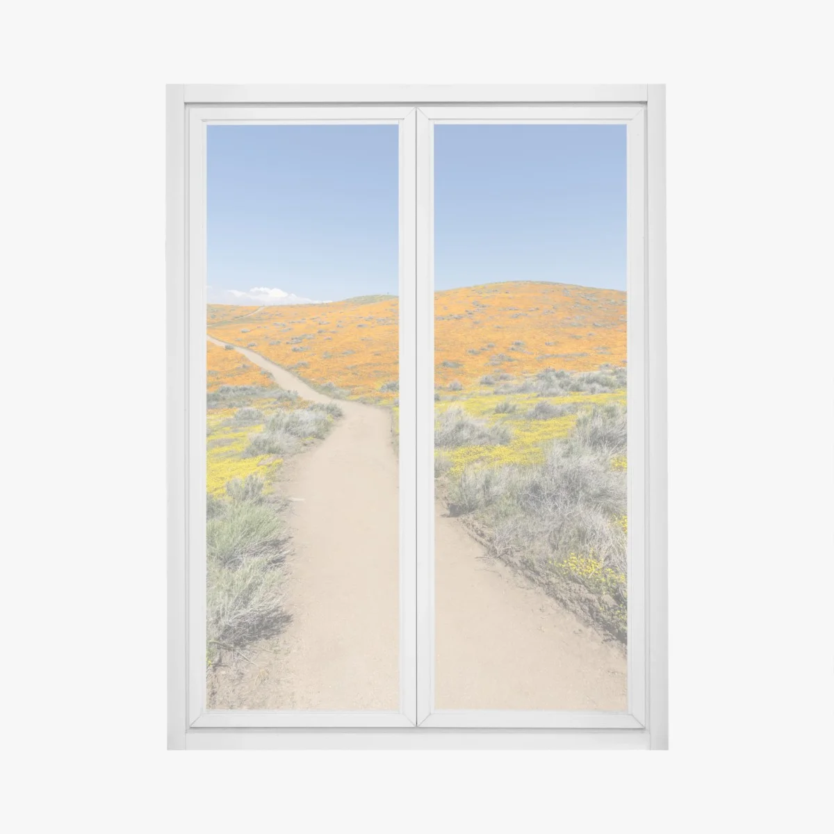 Pegatina para ventana camino entre amapolas en California del Sur – Pixers® Pegatina para ventana camino entre amapolas en California del Sur – Pixers®