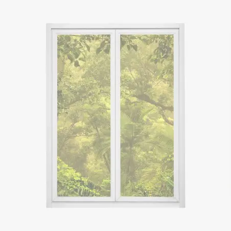 Pegatina para ventana amanecer dorado en la selva de Cairns – Pixers®