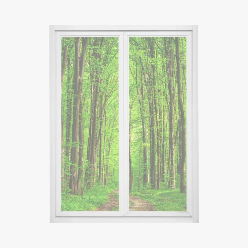 Pegatina para ventana bosque esmeralda con sendero entre árboles