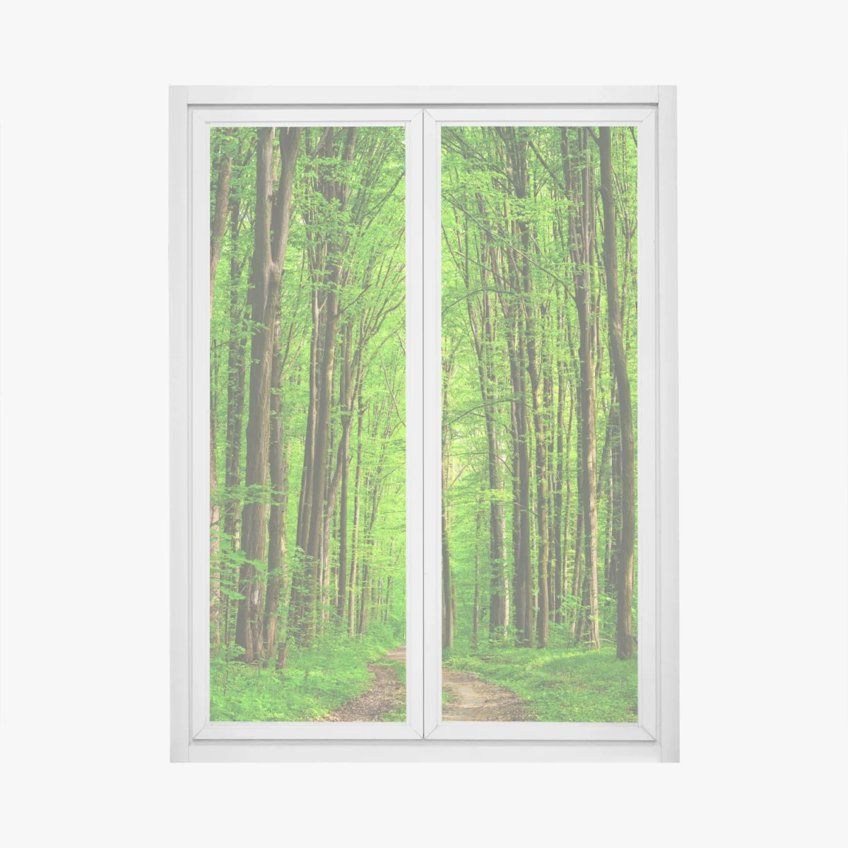 Pegatina para ventana bosque esmeralda con sendero entre árboles – Pixers® Pegatina para ventana bosque esmeralda con sendero entre árboles – Pixers®