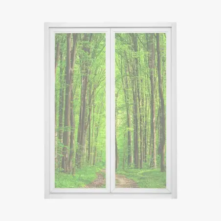 Pegatina para ventana bosque esmeralda con sendero entre árboles – Pixers®