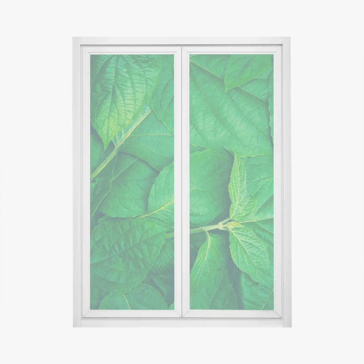Pegatina para ventana textura de hojas verdes – Pixers® Pegatina para ventana textura de hojas verdes – Pixers®