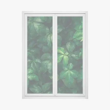 Pegatina para ventana follaje verde profundo con gotas de lluvia – Pixers®