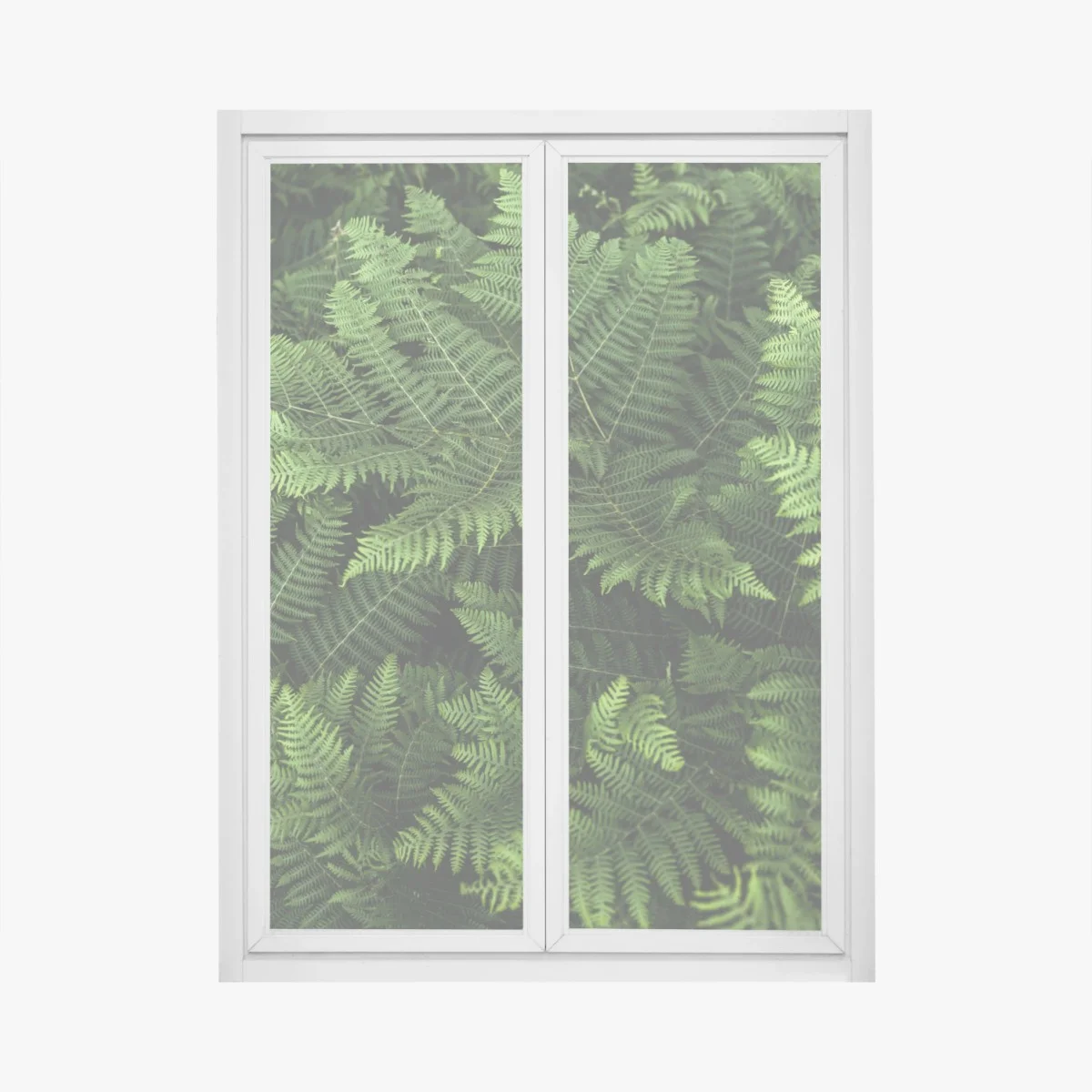 Pegatina para ventana manto de helechos verdes – Pixers® Pegatina para ventana manto de helechos verdes – Pixers®