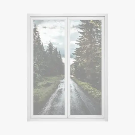Pegatina para ventana camino lluvioso entre pinos al atardecer – Pixers®
