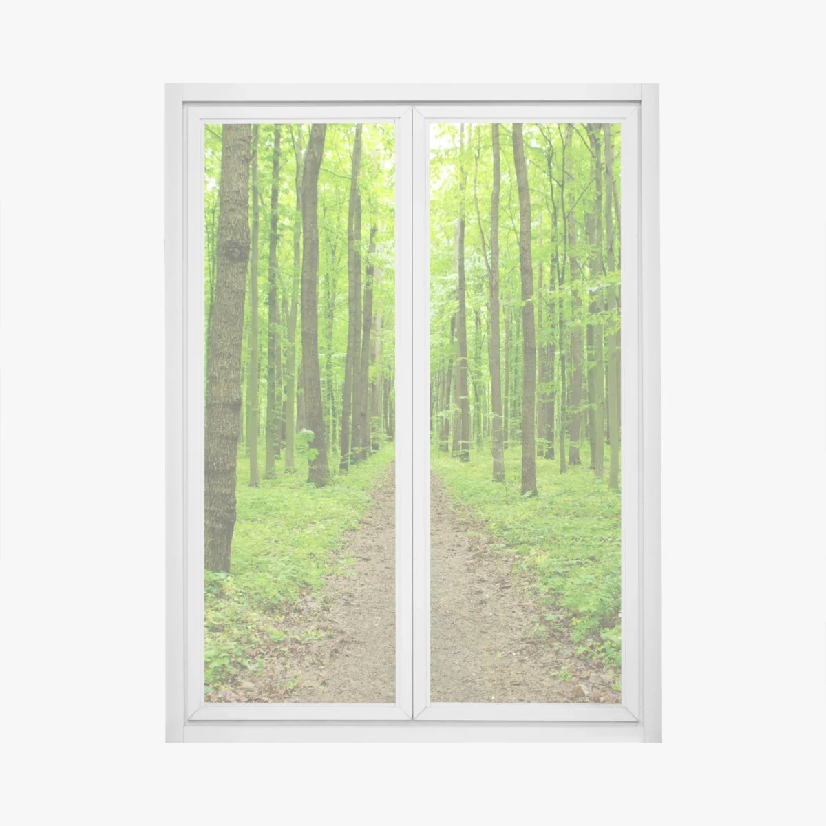 Pegatina para ventana sendero verde en bosque primaveral – Pixers® Pegatina para ventana sendero verde en bosque primaveral – Pixers®