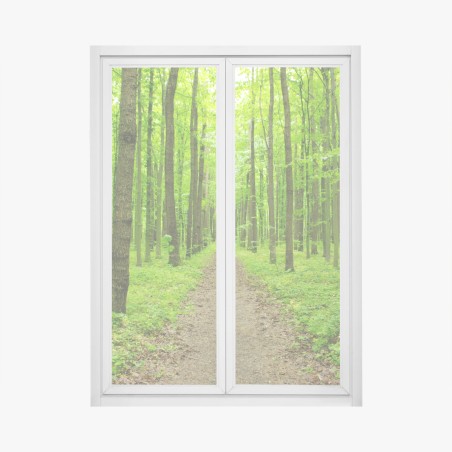 Pegatina para ventana sendero verde en bosque primaveral – Pixers®