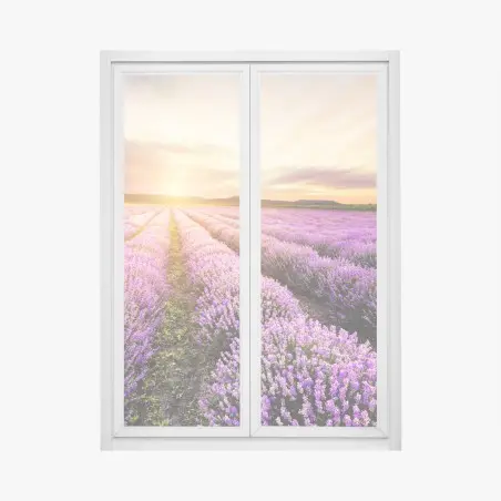 Pegatina para ventana amanecer sobre campos de lavanda en Bulgaria – Pixers®