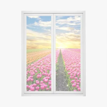 Pegatina para ventana amanecer mágico sobre campos de tulipanes en Países Bajos – Pixers®
