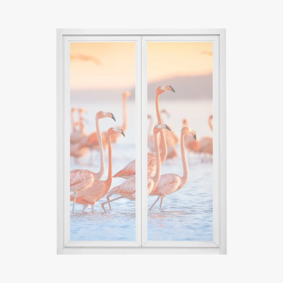 Pegatina para ventana flamencos al atardecer sobre aguas tranquilas – Pixers® Pegatina para ventana flamencos al atardecer sobre aguas tranquilas – Pixers®