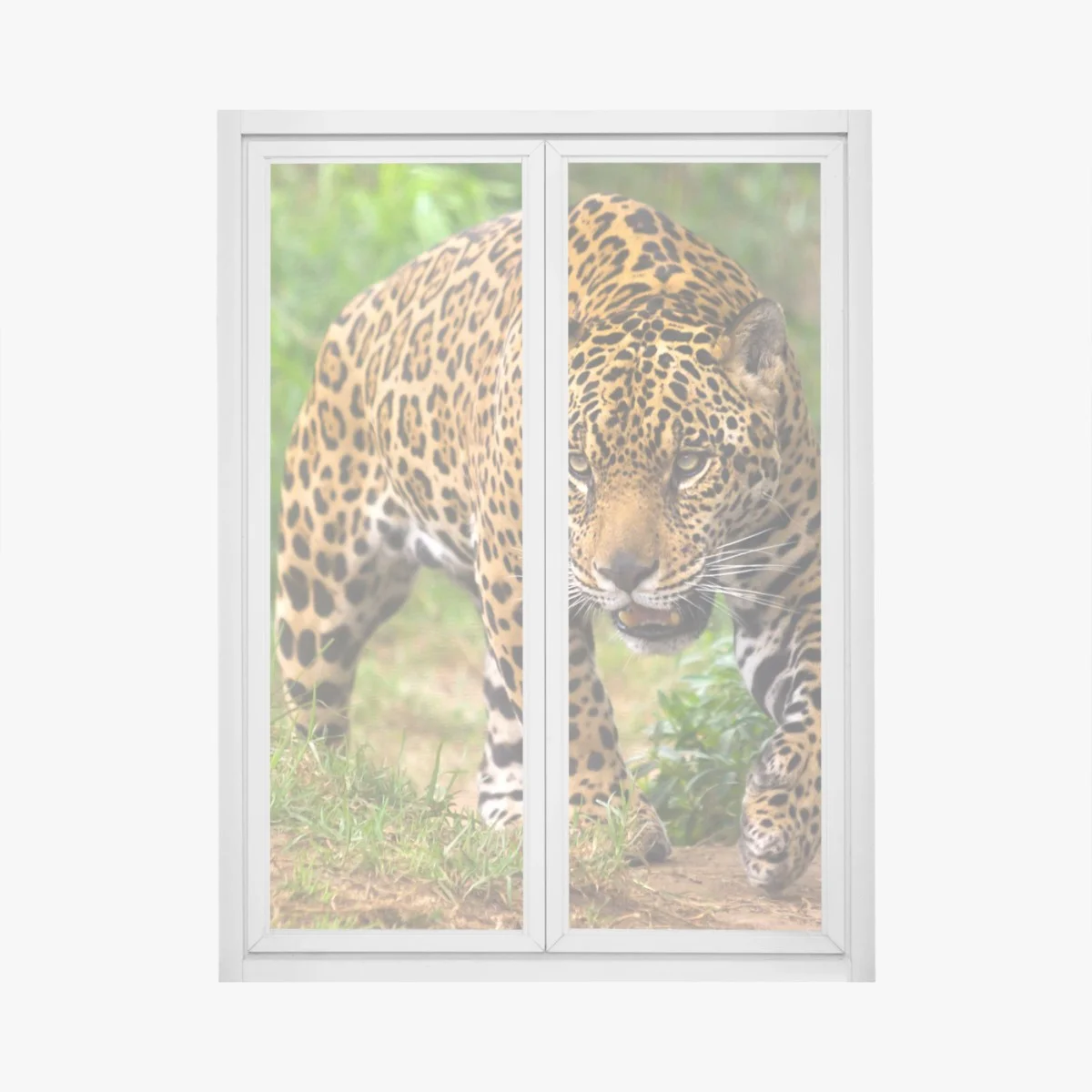 Pegatina para ventana jaguar acechando en la selva – Pixers® Pegatina para ventana jaguar acechando en la selva – Pixers®