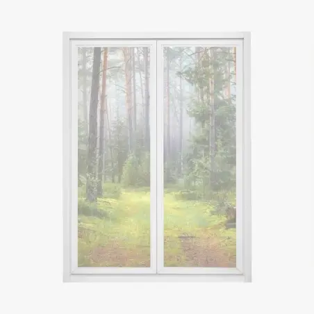 Pegatina para ventana sendero en bosque de pinos y musgo – Pixers®