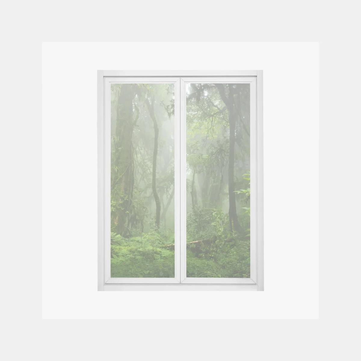 Pegatina para ventana misterios de la selva del Sudeste Asiático – Pixers® Pegatina para ventana misterios de la selva del Sudeste Asiático – Pixers®