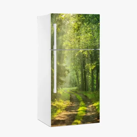 Pegatina para frigorífico sendero iluminado en el bosque – Pixers®