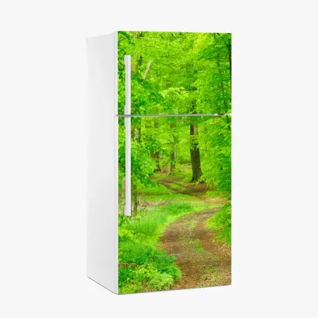 Pegatina para frigorífico sendero sereno en bosque primaveral – Pixers®