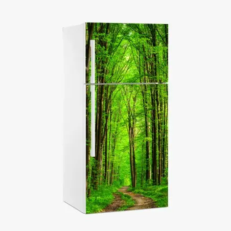Pegatina para frigorífico bosque esmeralda con sendero entre árboles – Pixers®