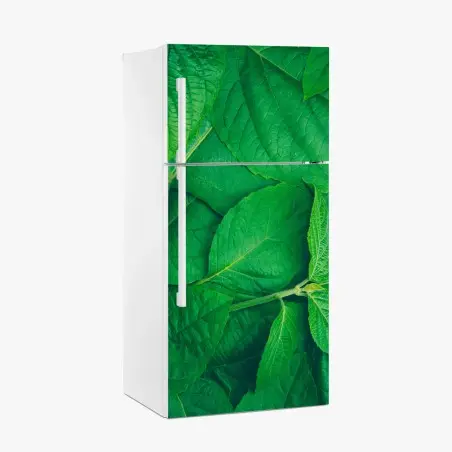 Pegatina para frigorífico textura de hojas verdes – Pixers®