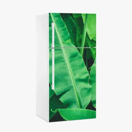 Pegatina para frigorífico hojas de plátano tropicales en verde intenso – Pixers®