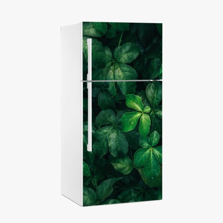 Pegatina para frigorífico follaje verde profundo con gotas de lluvia – Pixers®