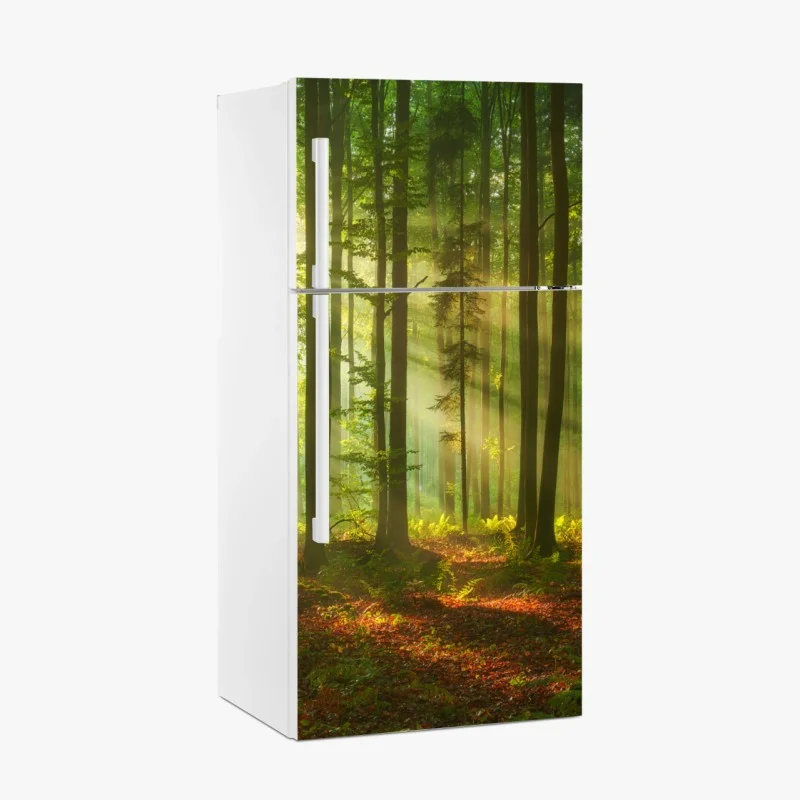 Pegatina para frigorífico amanecer dorado en el bosque