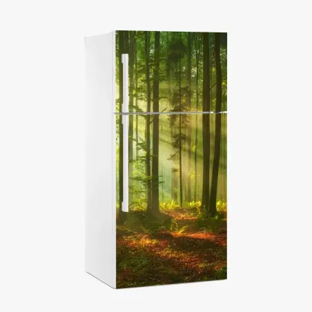 Pegatina para frigorífico amanecer dorado en el bosque – Pixers®