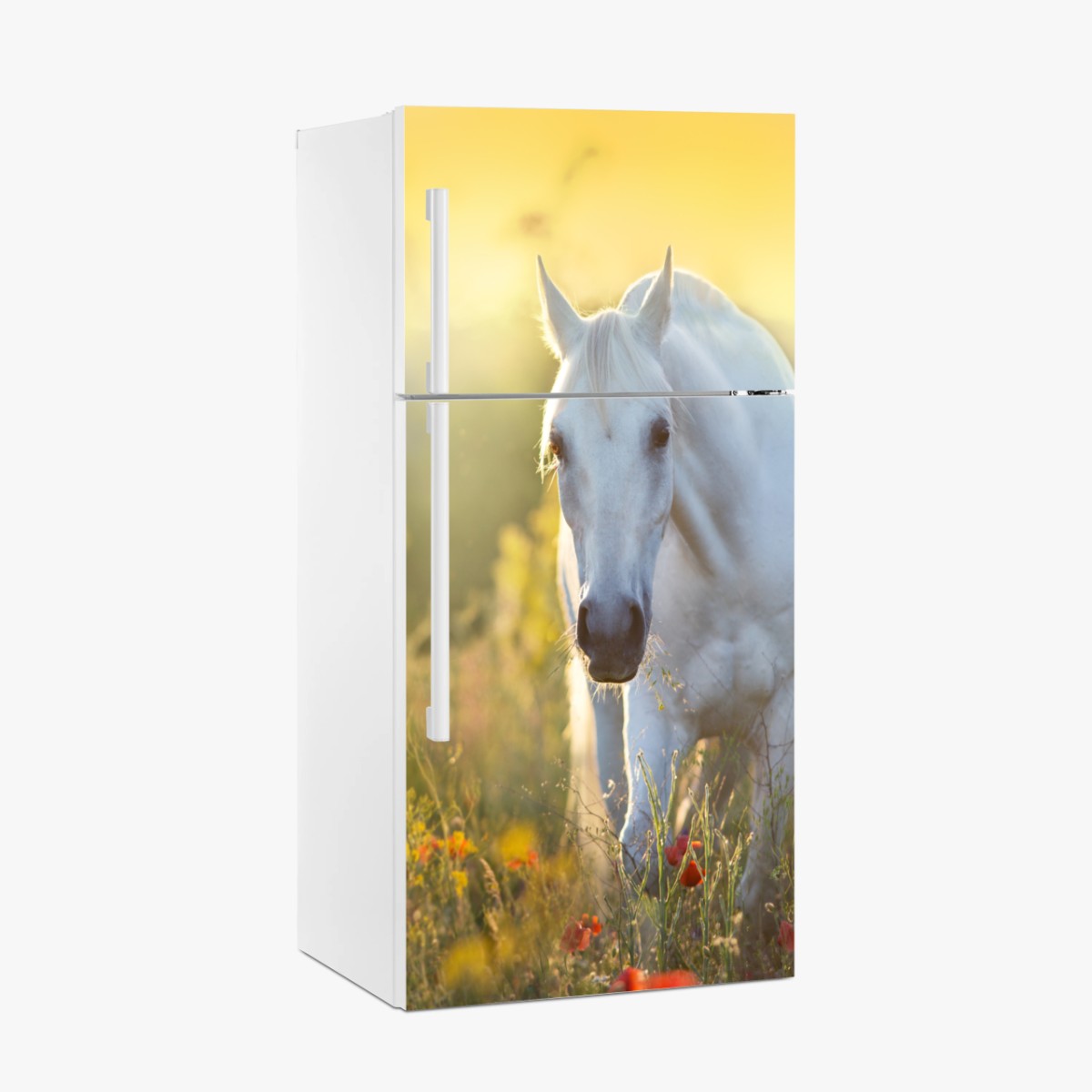 Pegatina para frigorífico caballo blanco entre amapolas al amanecer – Pixers®