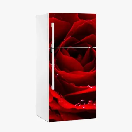 Pegatina para frigorífico rosa roja en primer plano con gotas de rocío – Pixers®