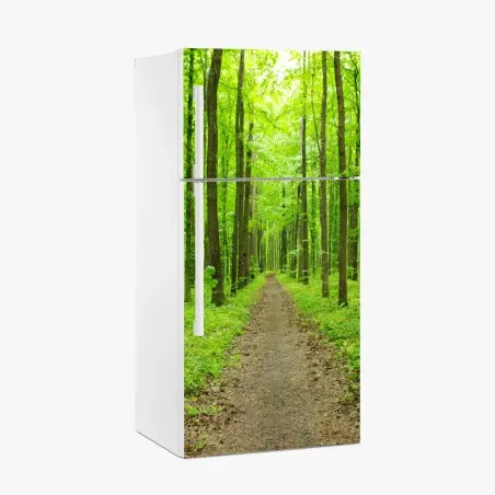 Pegatina para frigorífico sendero verde en bosque primaveral – Pixers®