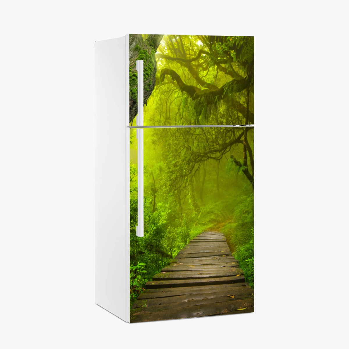 Pegatina para frigorífico sendero místico en la selva verde – Pixers®