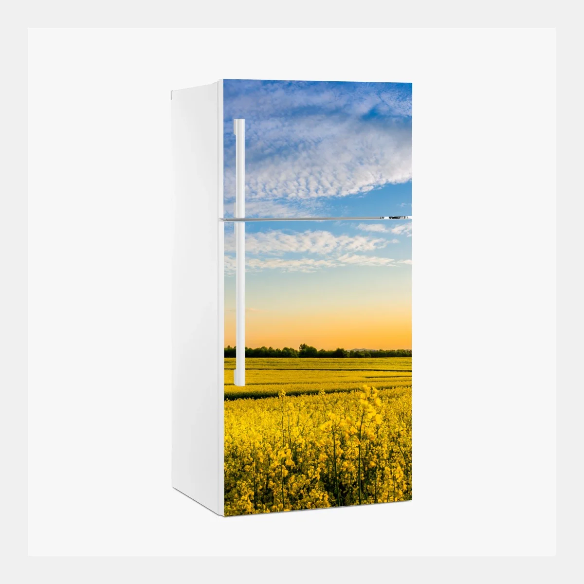 Pegatina para frigorífico paisaje de campo de colza al atardecer – Pixers® Pegatina para frigorífico paisaje de campo de colza al atardecer – Pixers®