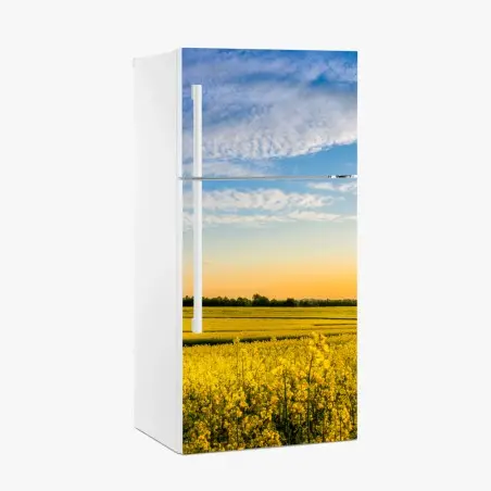 Pegatina para frigorífico paisaje de campo de colza al atardecer – Pixers®