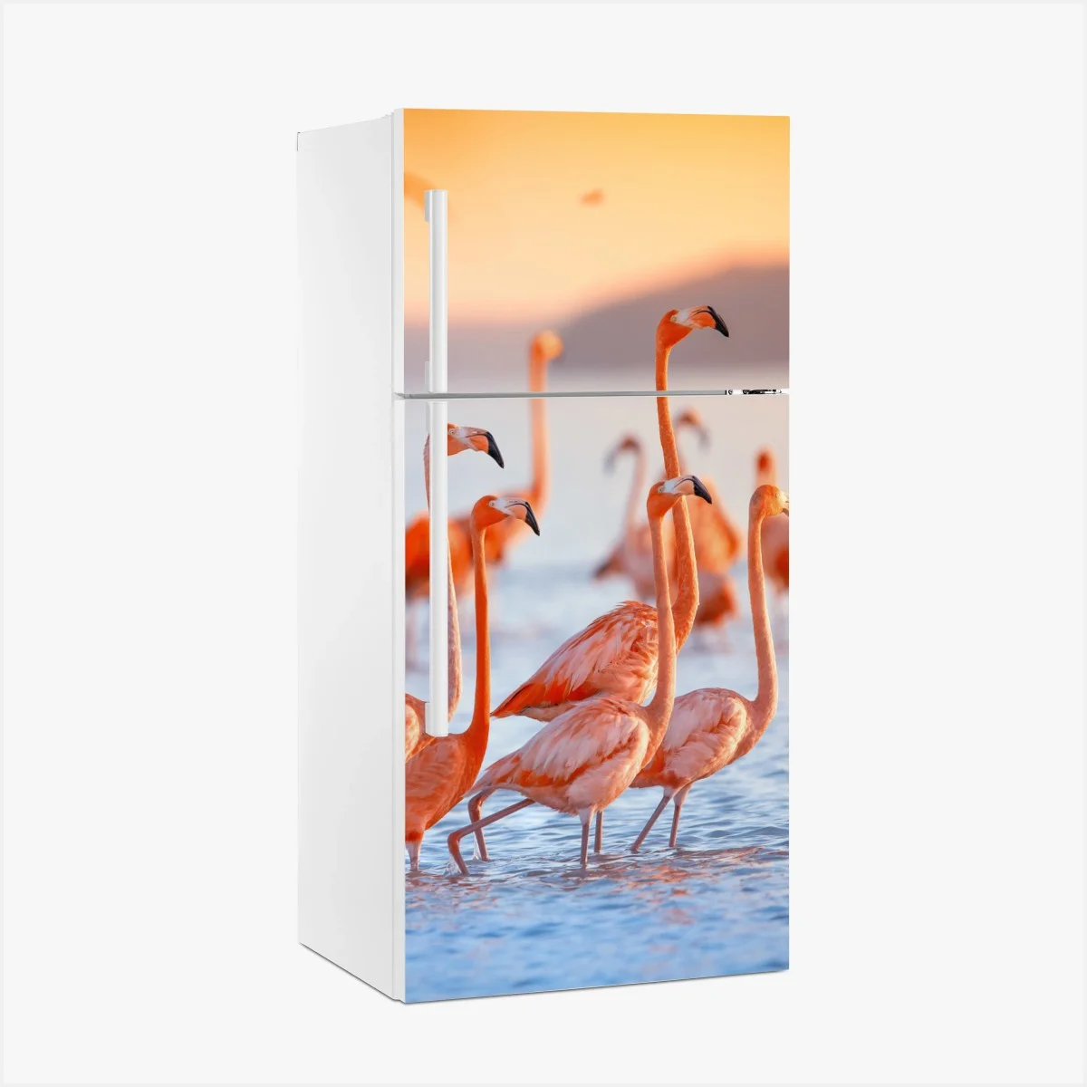 Pegatina para frigorífico flamencos al atardecer sobre aguas tranquilas – Pixers® Pegatina para frigorífico flamencos al atardecer sobre aguas tranquilas – Pixers®