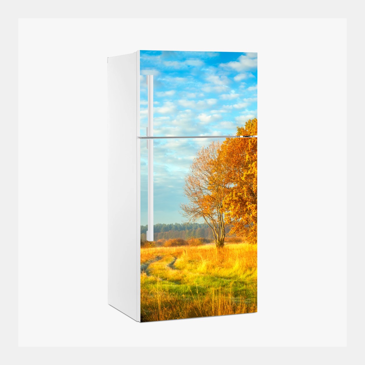 Pegatina para frigorífico amanecer otoñal en la pradera – Pixers®
